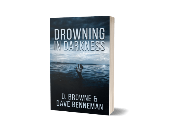 Allie's 2d book cover.png